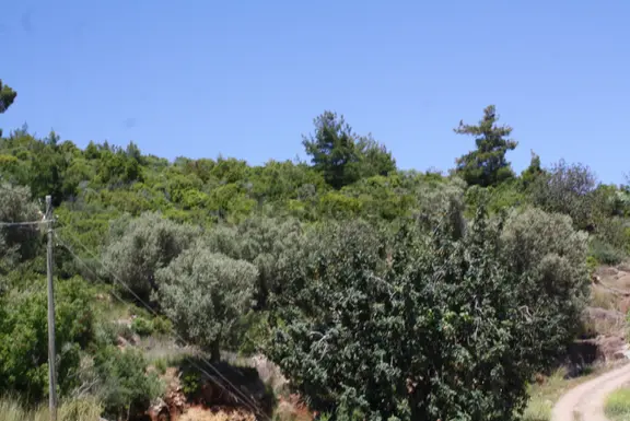 Mersin Anamurda Satılık Deniz Manzaralı Tarla 4.312 M2 Anıtlı 2