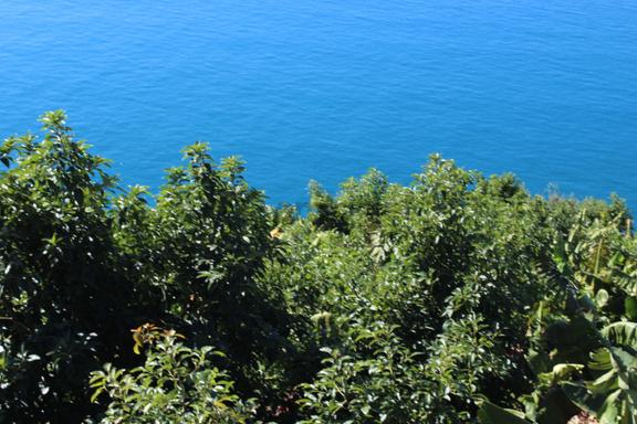 Mersin Anamur Deniz Manzaralı Satılık Villa Arsaları 2