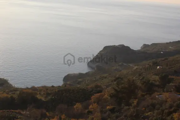 Antalya Gazipaşa Deniz Manzaralı Satılık Arsa Zeytinada 2