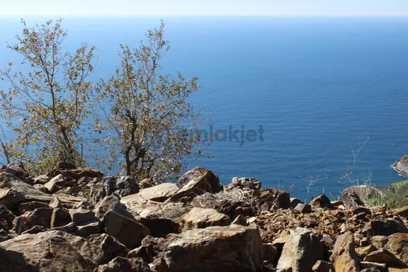 Antalya Gazipaşa Deniz Manzaralı Satılık Arsa Zeytinada 2