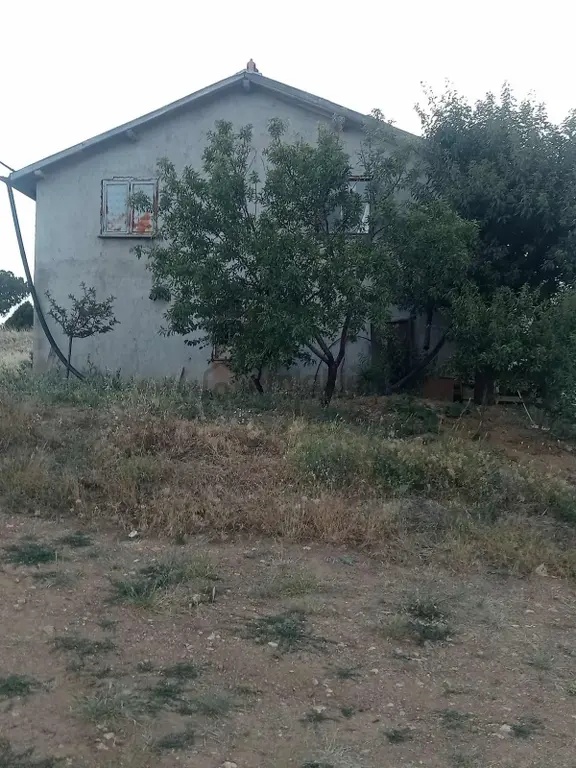 Bozkır Hamzalarda Yatırımlık 83.000 M2 Bağ 1
