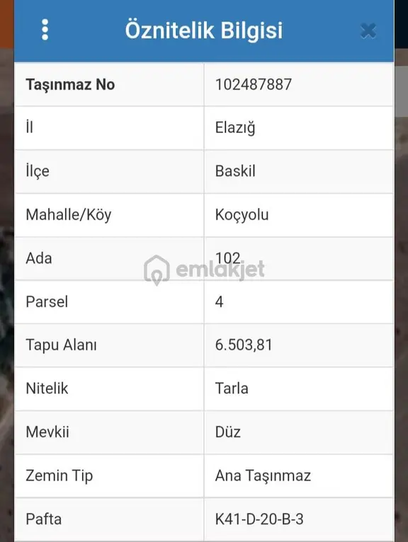 Elazığ Baskil Koçyolunda Satılık Tarla 1