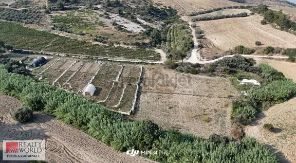 Rw Tersis'den Sucular Mahallesinde Kiralık 2