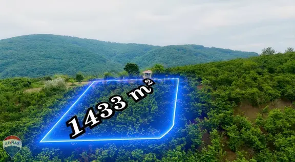 Remax Mavi Murat Gençler'den Serdivan Çubuklu Yatırımlık Arazi 2