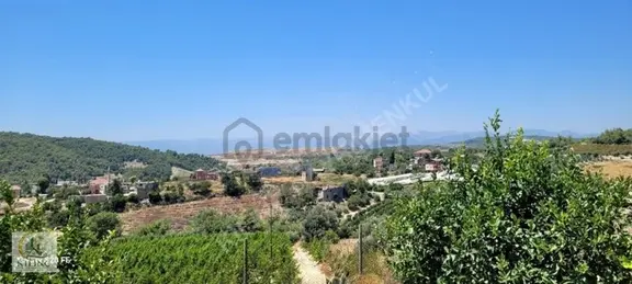 Kılınçtan Satılık Organize Sanayiye Yakın Limon Bahcesı 1