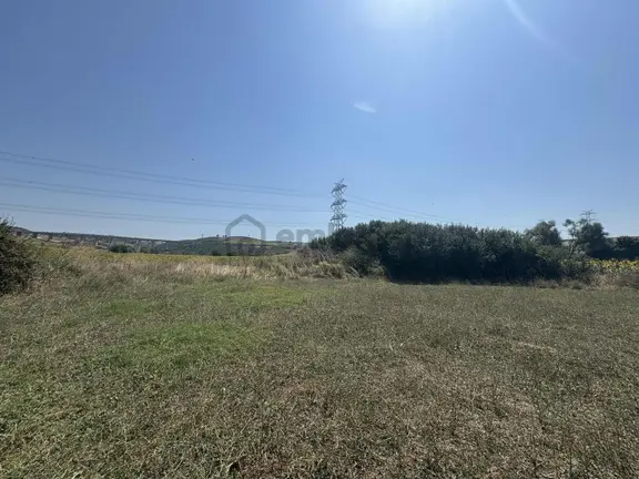 Karacabey Subaşı Mah. Satılık 927 M2 Müstakil Tapulu Tarla 2