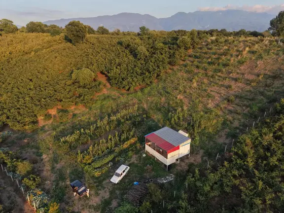 Meriç Çayrak'tan G.kargalı 16.703 M2 Satılık Fındık Bahçesi 1