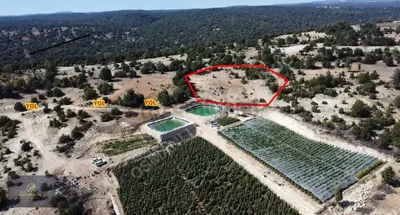 Kızılın Mahallesinde 5 Dönüm Satılık Arazi 2
