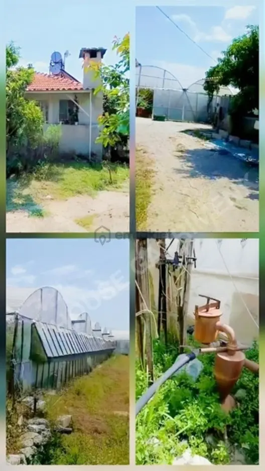 İmara Sıfır Satılık Müstakil Ev Ve Kurulu Sera.yatırım,kullanım 1