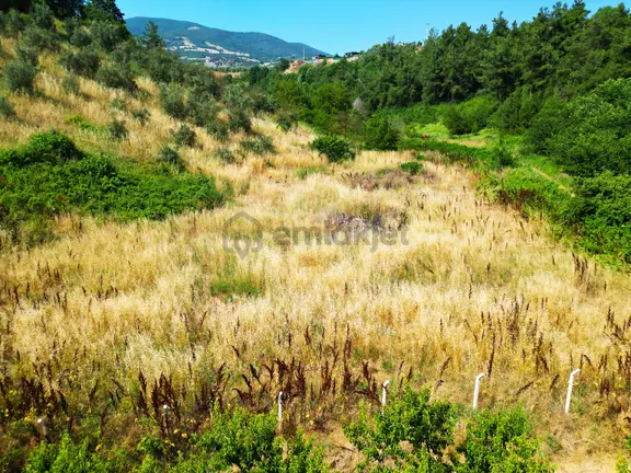İznik Alkaya' Da Yola Cephe Etrafı Çitle Çevrili Arazi-meyvelik 2