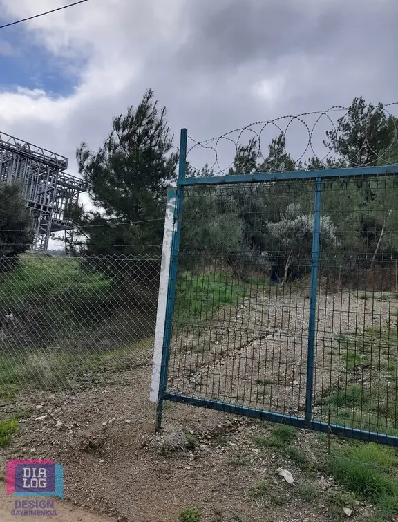 Kemalpaşa Ören'de Satılık Zeytinlik 1