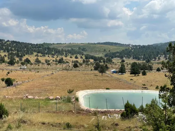 Toroslar Sadiye’de Yola Cepheli, Sulama Suyu Ve Gölet Dibinde Fırsat Tarla! 1