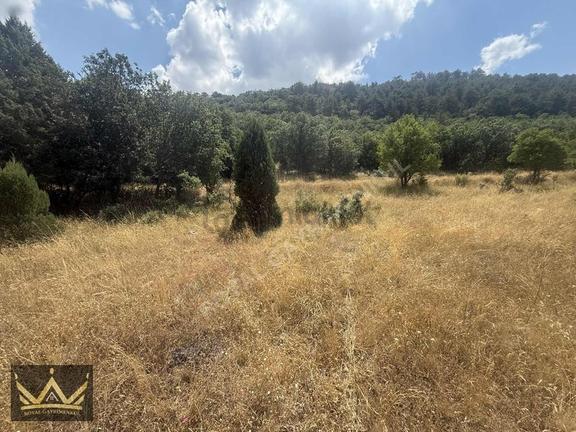 Royal'den Koçak Köyünde Yol Kenarı 1024 M² Yatırımlık Arazi 2