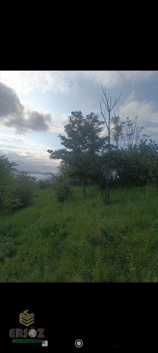 Ordu Fatsa Yalıköy Tek Tapu İmarlı Arsa 2