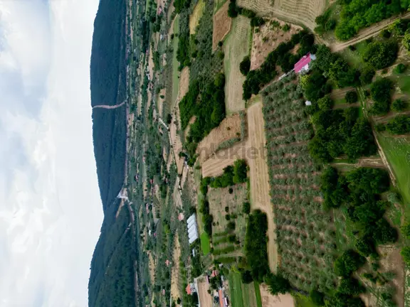 Muğla Ula'da Fırsat Tarla 2