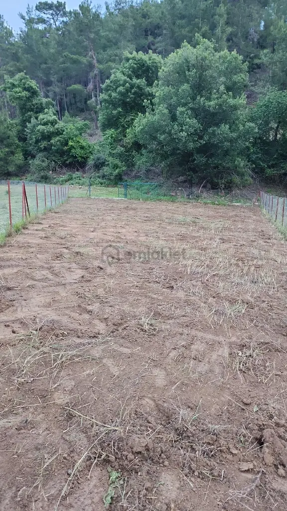 Antalya Manavgat Taşkesiğinde Satılık Müstakil Tarla 2