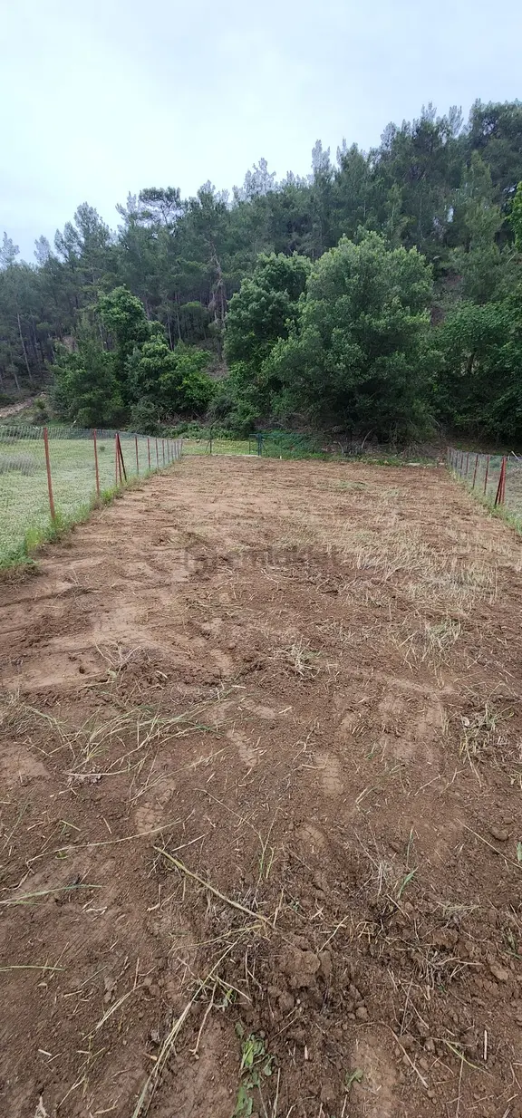 Antalya Manavgat Taşkesiğinde Satılık Müstakil Tarla 1