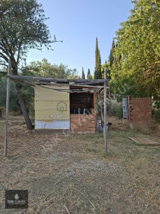 Tire Derebaşı'nda 996 M² Düz Arazi Tuvalet Ve Ahşap Barakalı 1