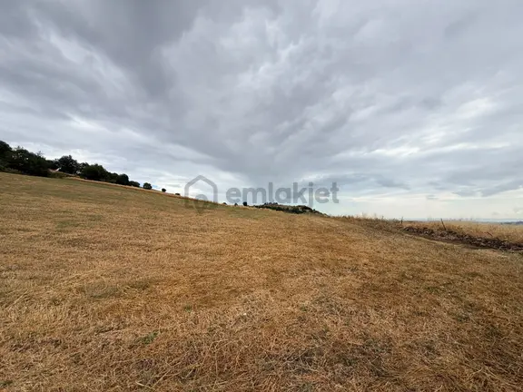 Bi·nova'dan İlkadım Kapaklı Mh. Satılık 4.450 M² Tarla 2