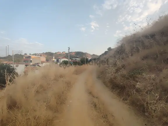 Satılık Tarla Manisa Turgutlu Derbent De 6286 M2 1