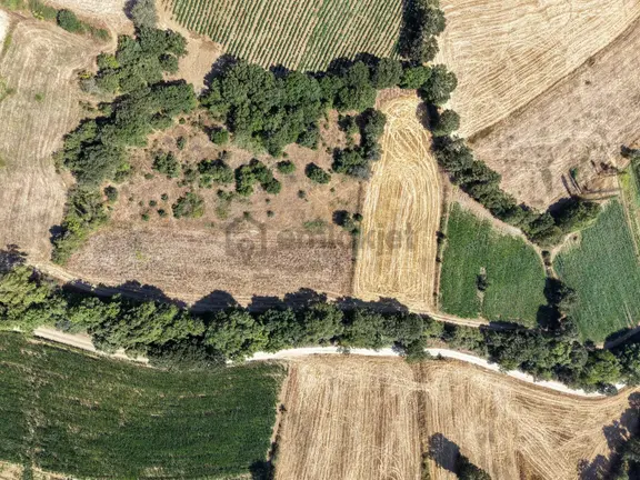 Balya Gökmusa Köyü Kadastro Yolu Olan Satılık Arazi 2