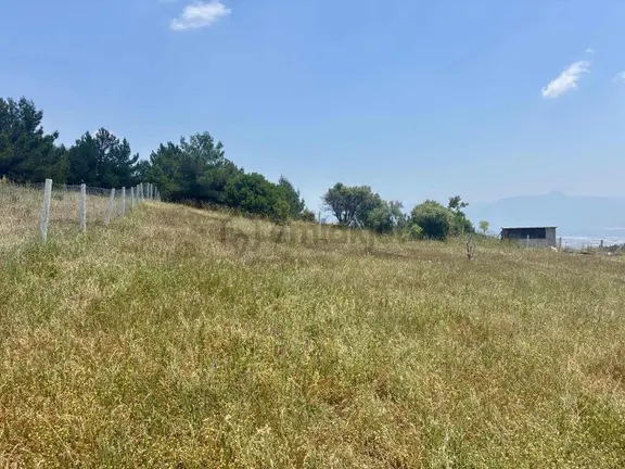 Kemalpaşa Damlacık'ta Satılık Bahçe 2