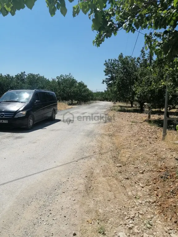 Organize San.bitimi Cihadiyede 8435 M2 Satılık Arazi 2