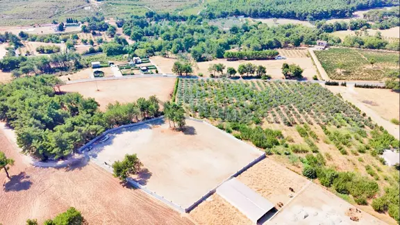 Buca Kaynaklar'da 7 Dönüm Satılık Tarla 2