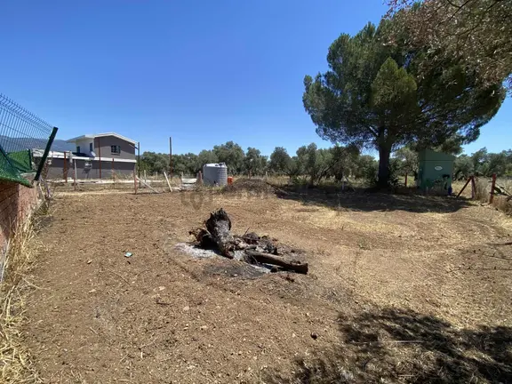 Kemalpaşa Mehmet Akif Ersoy Satılık 380 M2 Bahçe 2
