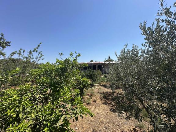 Güzelobada Zilyetli 700 M² Alanda 4+1 Müstakil Ev 1