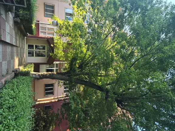 Atakent2.etap Merkezi Konumda 2+1 Tadilatlı Satılık Daire 1