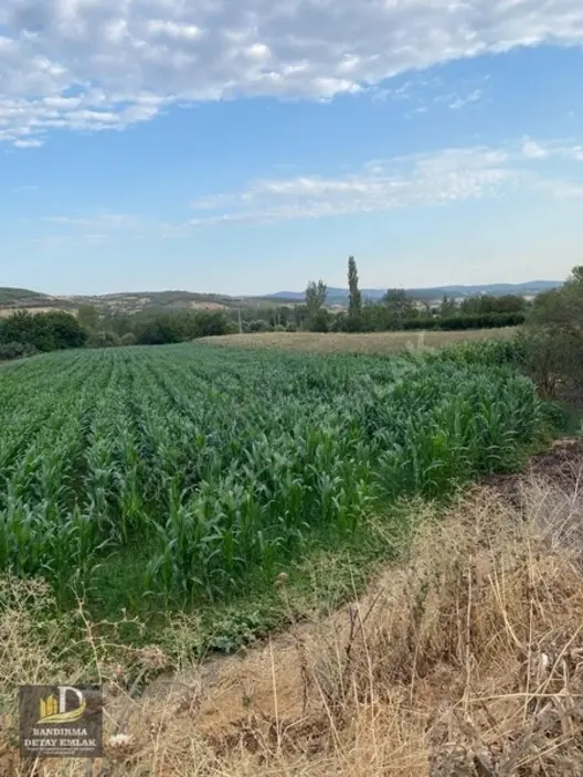 Detay Emlaktan Kepsut Tekkeışıklarda 4.144 M2 Satılık Tarla 2