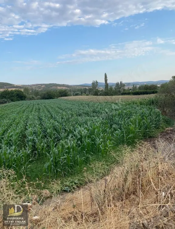 Detay Emlaktan Kepsut Tekkeışıklarda 4.144 M2 Satılık Tarla 2