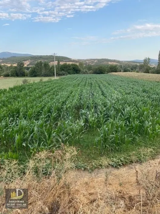 Detay Emlaktan Kepsut Tekkeışıklarda 4.144 M2 Satılık Tarla 1