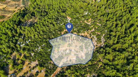 Menteşe Kuyucak'ta Satılık 5.932 M² Tarla 1