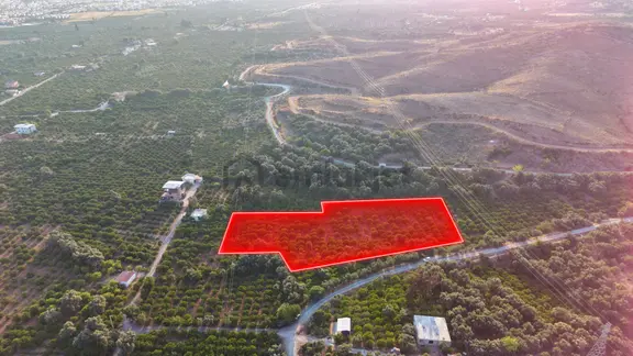 Payamlı 8.829 M2 Zeytin Ağaçlı Tarla 2