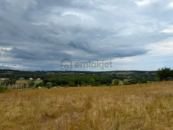 Arı Emlak'tan Satılık Sinop Dibeklide 1420m2 Tarla 1