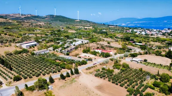Edincikte Gelişim Bölgesinde 1.203 M² Satılık Bağ 2