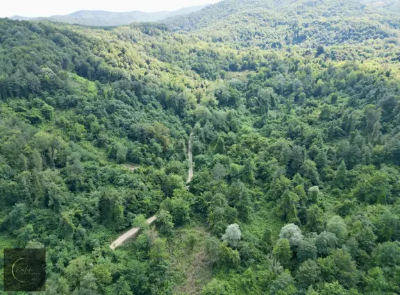 Sapanca Akçay Mah. 2915 M2 Satılık Tarla Yolu Mevcut 1