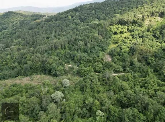 Sapanca Akçay Mah. 2915 M2 Satılık Tarla Yolu Mevcut 2
