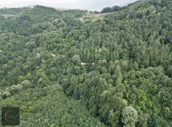 Sapanca Akçay Mah. 5024 M2 Satılık Tarla Yolu Mevcut 2