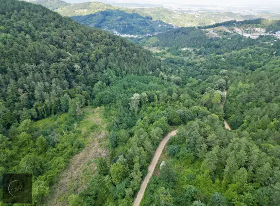 Sapanca Akçay Mah. 5024 M2 Satılık Tarla Yolu Mevcut 1