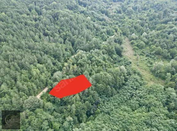 Sapanca Akçay Mah. 5024 M2 Satılık Tarla Yolu Mevcut 2