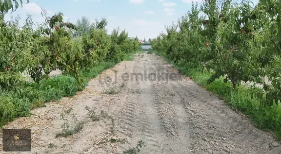 Tolga Gayrimenkul'' 3370m² Harika Konumda Villa İmarlı Arsa 2