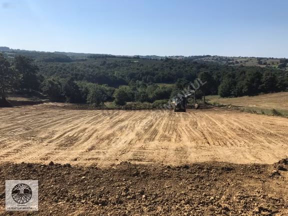 Kandıra Kırkarmut'ta Satılık 5990m² İmarlı Arsa 1