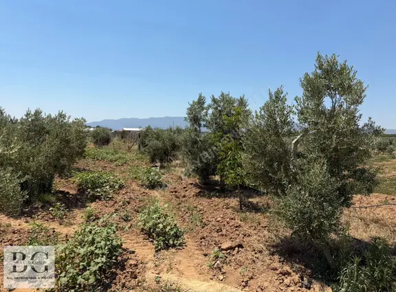 Menderesde Satılık 250 M2 Bahçeler Elektrik- Su Hazır 2
