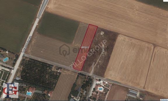 Silivri Fenerköy'de 5175 M² Satılık Arsa - Müstakil Tapulu! 2