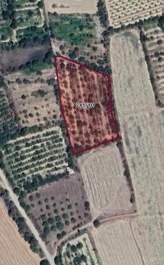 Afyon Çay Vakıf Mahallesi'nde Satılık 3321 M² Verimli Tarla 2