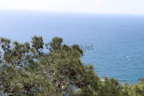 Gazipaşa Deniz Manzaralı Satılık Tarla 767 M2 Zeytinada 2