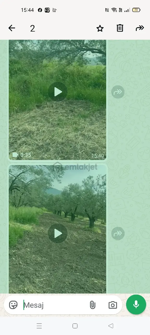 Satılık Zeytinlik